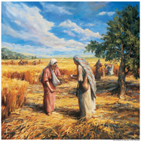 Book of Ruth, The Book of Ruth in the Bible Study, Commentary, Online